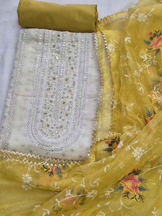 Dhara Mirror Embellished Organza Set